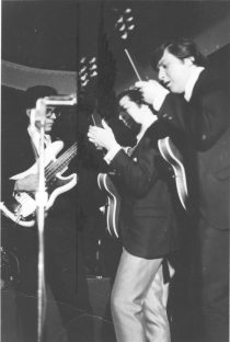 Dick Whittington's Cats: Jay, Richie and Tony